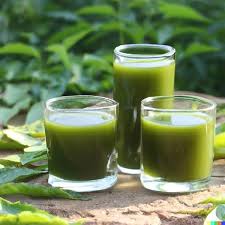 Neem Juice
